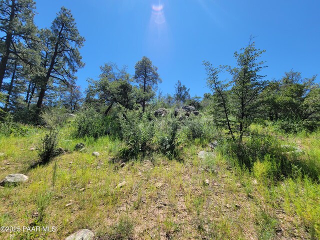 1753 Conifer Ridge Ln, Prescott, AZ 86303
