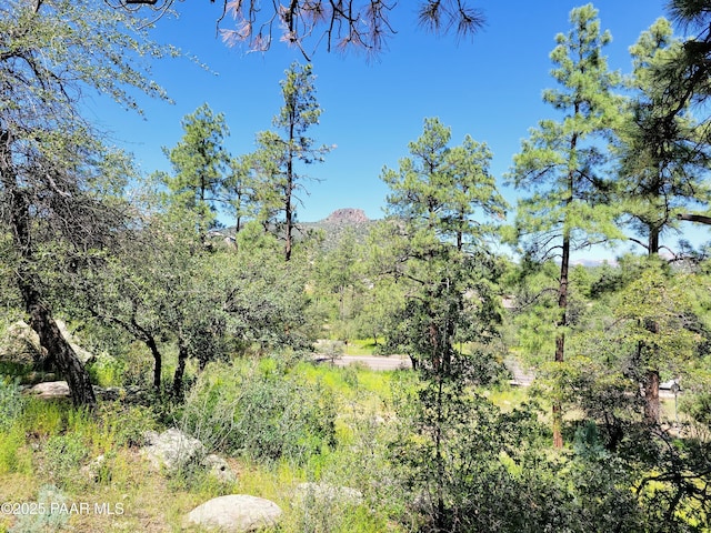 1753 Conifer Ridge Ln, Prescott, AZ 86303