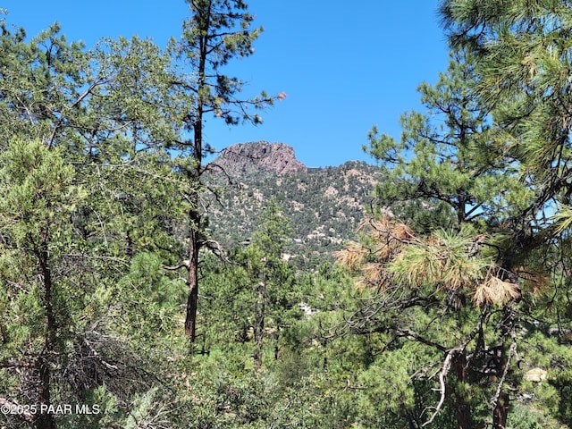 1753 Conifer Ridge Ln, Prescott, AZ 86303