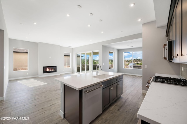 kitchen with a glass covered fireplace, appliances with stainless steel finishes, a sink, open floor plan, and light wood finished floors