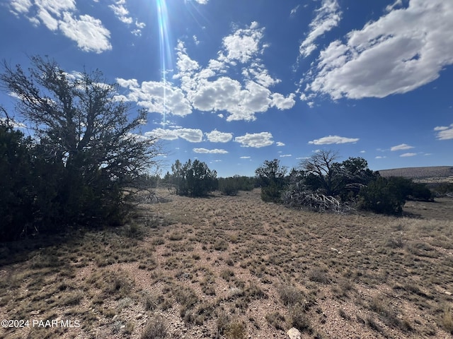 27425 W El Oro Dr, Seligman, AZ 86337 - photo 4