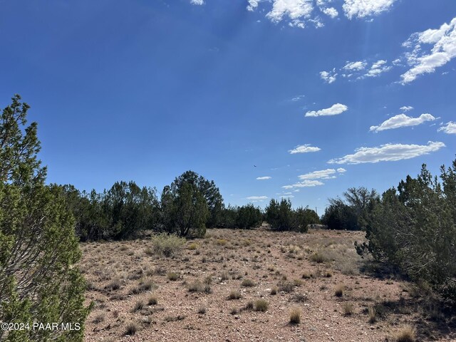 27425 W El Oro Dr, Seligman, AZ 86337 - photo 1