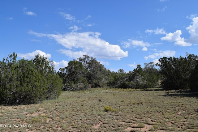 53570 Via De Oro Pkwy, Seligman AZ, 86337 land for sale