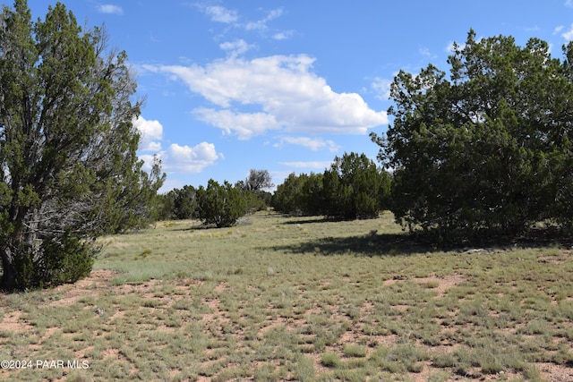 53570 Via De Oro Pkwy, Seligman, AZ 86337 - photo 4