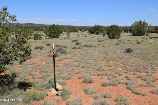 53570 Via De Oro Pkwy, Seligman, AZ 86337 - photo 9