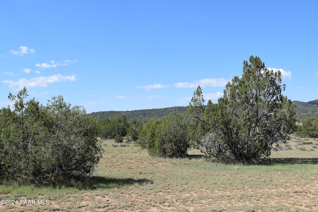 53570 Via De Oro Pkwy, Seligman, AZ 86337 - photo 6