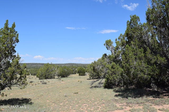 53570 Via De Oro Pkwy, Seligman, AZ 86337 - photo 5