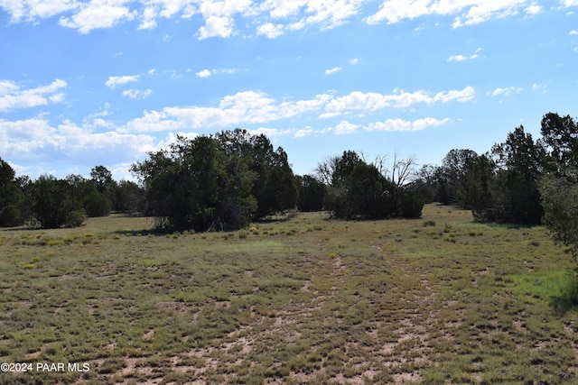 53570 Via De Oro Pkwy, Seligman, AZ 86337 - photo 2