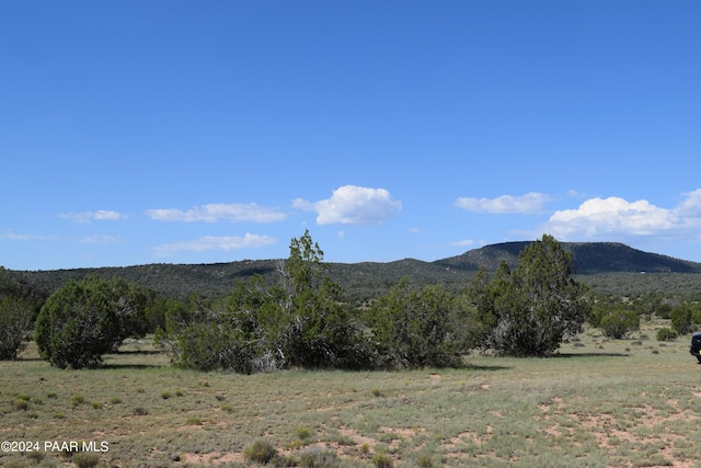 53570 Via De Oro Pkwy, Seligman, AZ 86337 - photo 8