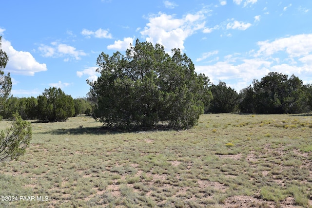 53570 Via De Oro Pkwy, Seligman, AZ 86337 - photo 3
