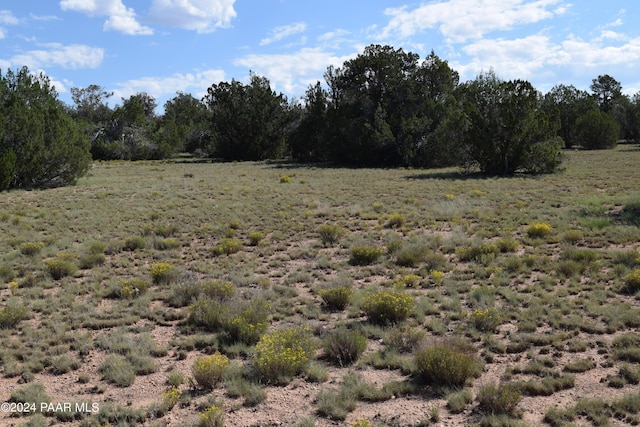 53570 Via De Oro Pkwy, Seligman, AZ 86337 - photo 7