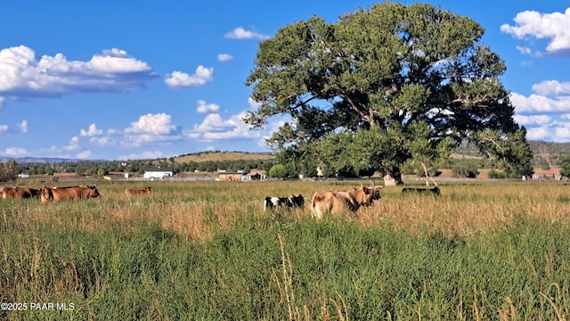 view of local wilderness featuring a rural view