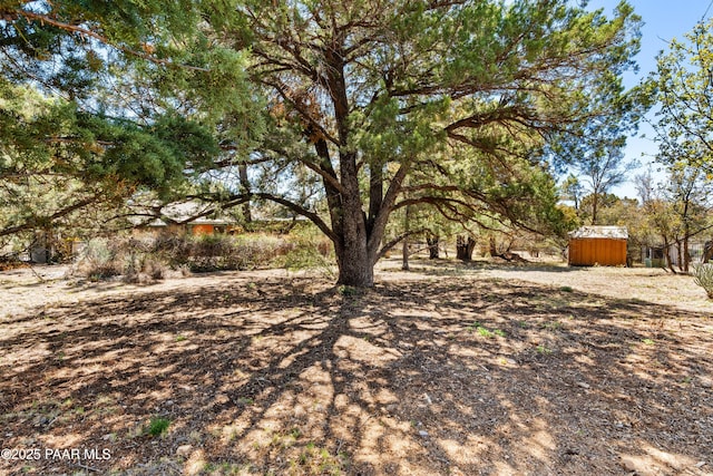 3040 Hozoni Rd, Prescott, AZ 86305 - view of yard featuring an outbuilding and a storage unit
