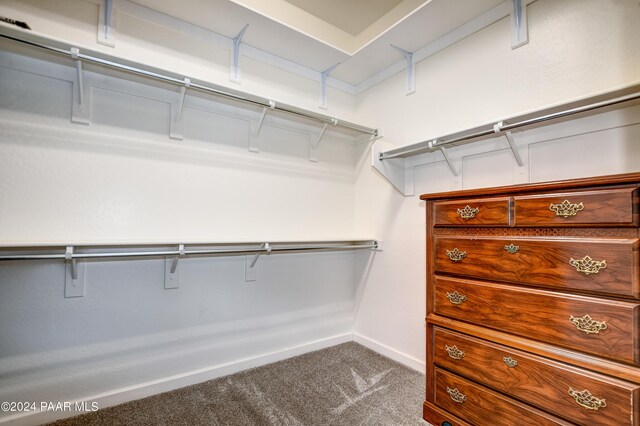 walk in closet with carpet flooring