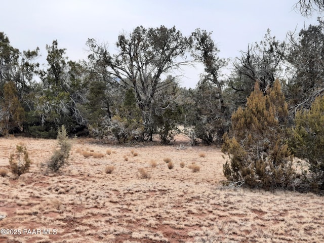 Listing photo 3 for LOT1222 Lazy Daze Way, Seligman AZ 86337