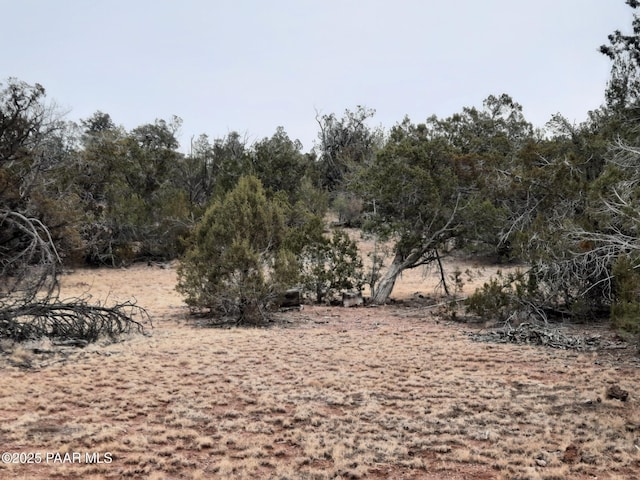 Listing photo 2 for LOT1222 Lazy Daze Way, Seligman AZ 86337