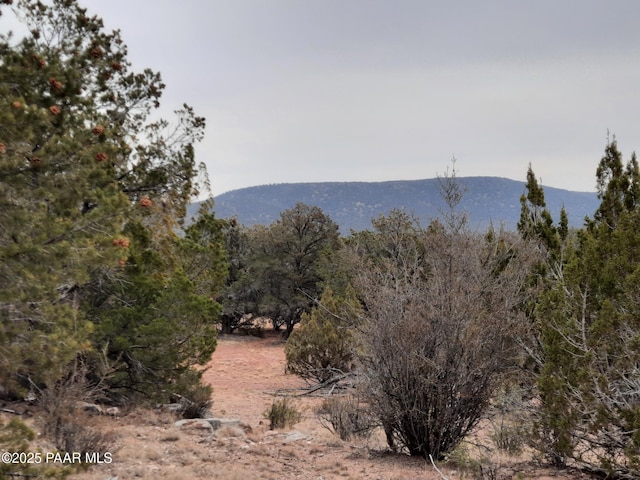 LOT1222 Lazy Daze Way, Seligman AZ, 86337 land for sale