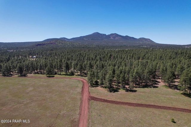 581 Cooper Ranch Rd, Williams, AZ 86046 - bird's eye view featuring a forest view and a mountain view