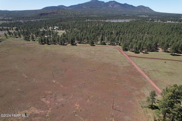 581 Cooper Ranch Rd, Williams, AZ 86046 - birds eye view of property featuring a forest view and a mountain view