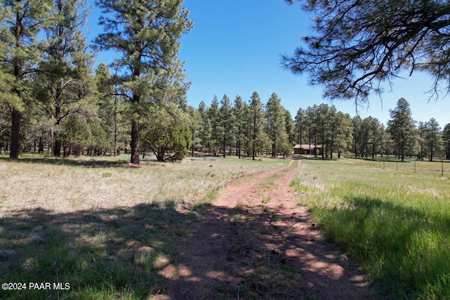 581 Cooper Ranch Rd, Williams, AZ 86046 - view of nature