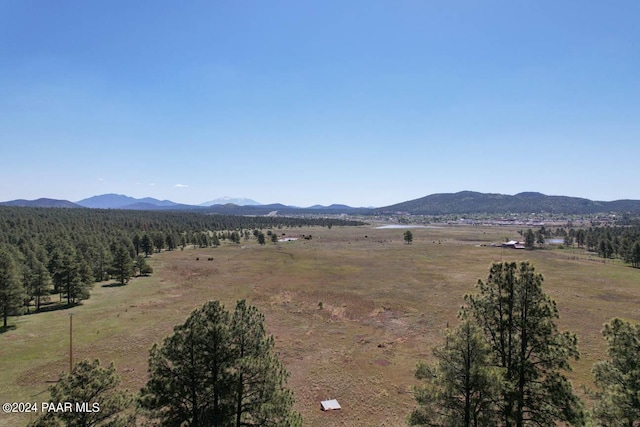 581 Cooper Ranch Rd, Williams, AZ 86046 - mountain view
