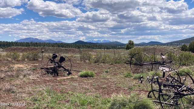 581 Cooper Ranch Rd, Williams, AZ 86046 - property view of mountains with a rural view
