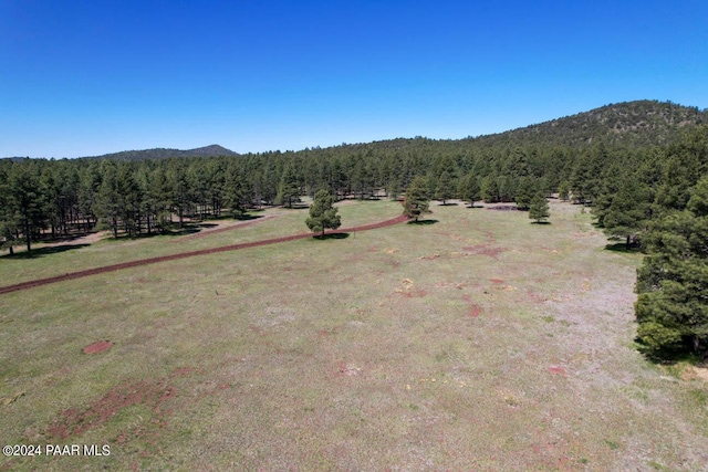 581 Cooper Ranch Rd, Williams, AZ 86046 - drone / aerial view featuring a forest view and a mountain view