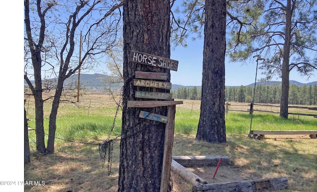 581 Cooper Ranch Rd, Williams, AZ 86046 - details featuring a mountain view