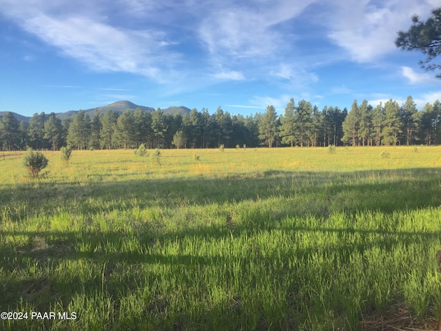 581 Cooper Ranch Rd, Williams, AZ 86046 - view of landscape with a rural view, a mountain view, and a view of trees