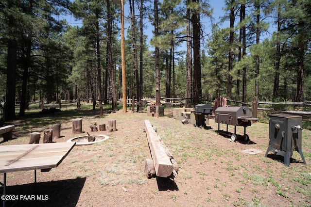 581 Cooper Ranch Rd, Williams, AZ 86046 - view of yard