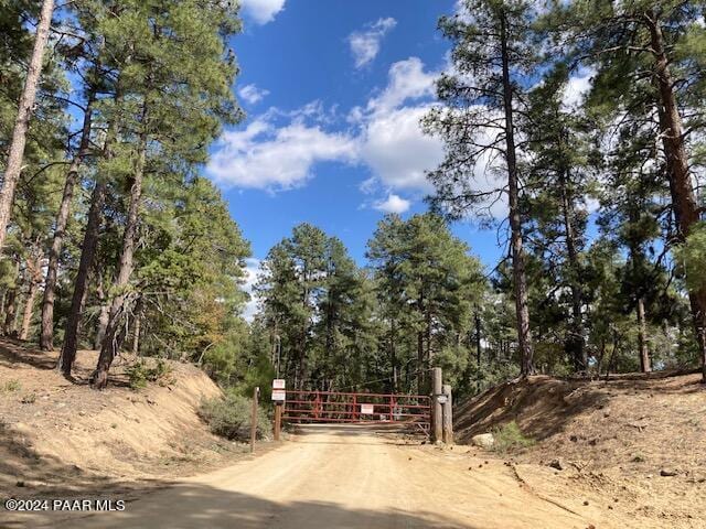 020E Vulture Bend Dr, Prescott, AZ 86305 - photo 3