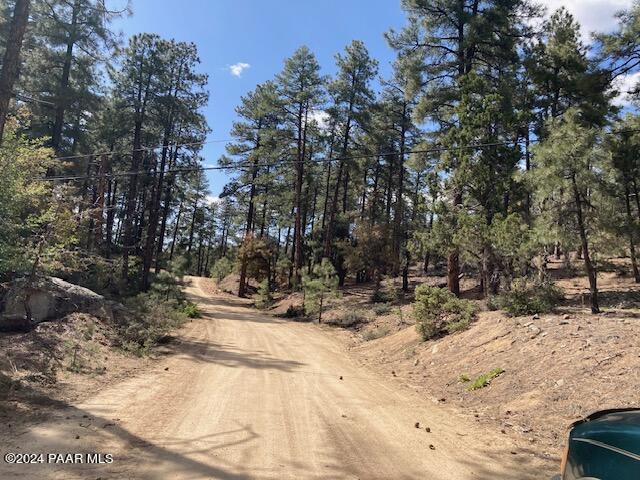 020E Vulture Bend Dr, Prescott, AZ 86305 - photo 4
