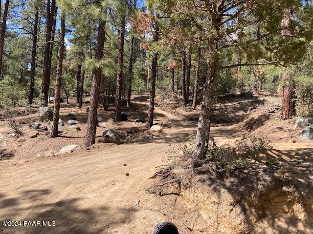 020E Vulture Bend Dr, Prescott, AZ 86305 - photo 13