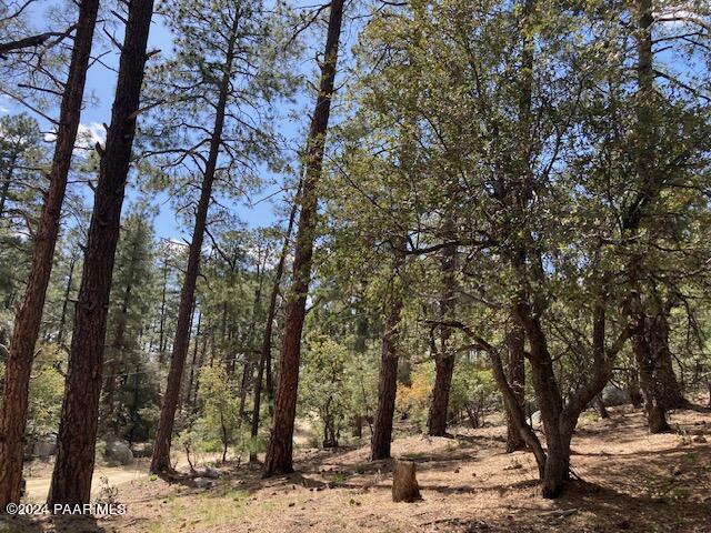 020E Vulture Bend Dr, Prescott, AZ 86305 - photo 8