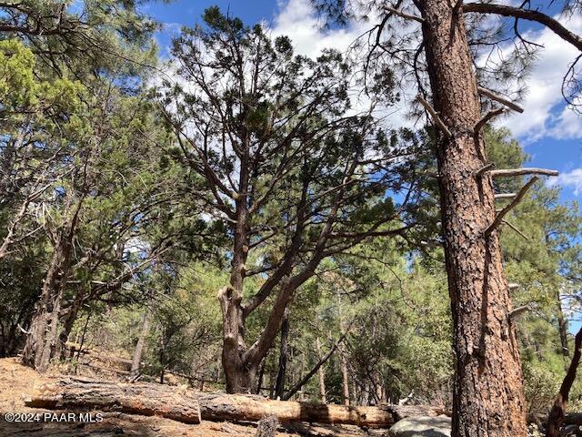 020E Vulture Bend Dr, Prescott, AZ 86305 - photo 10