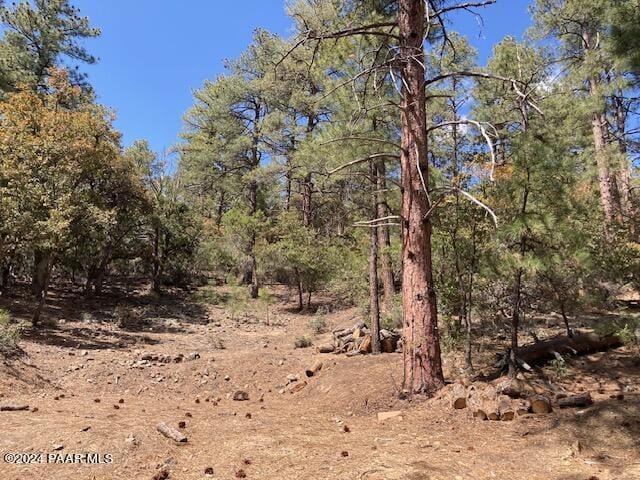 020E Vulture Bend Dr, Prescott, AZ 86305 - photo 7