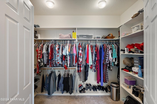 walk in closet with carpet