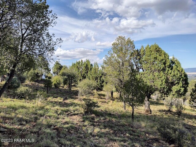 584 Sandpiper Dr, Prescott, AZ 86303 - photo 5