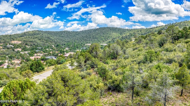 584 Sandpiper Dr, Prescott, AZ 86303 - photo 11