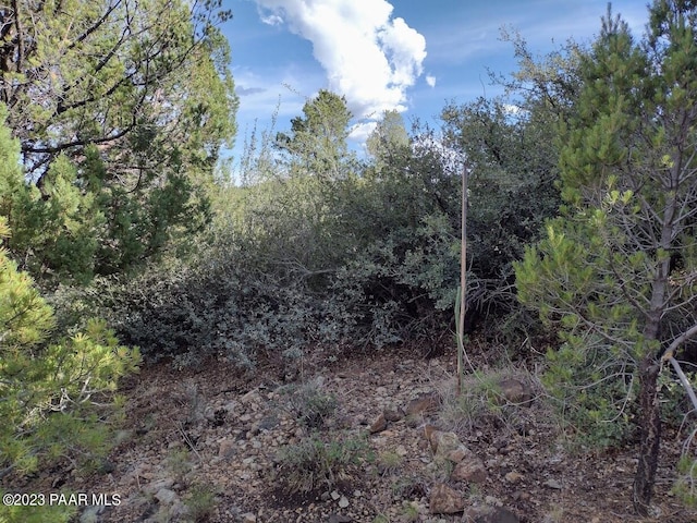 584 Sandpiper Dr, Prescott, AZ 86303 - photo 18