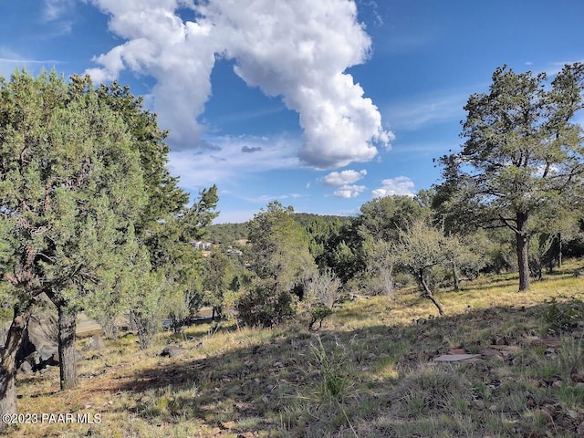 584 Sandpiper Dr, Prescott, AZ 86303 - photo 17