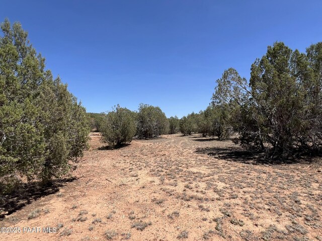 39303 N Bullock Rd, Ash Fork, AZ 86320 - photo 11