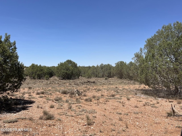 39303 N Bullock Rd, Ash Fork, AZ 86320 - photo 4
