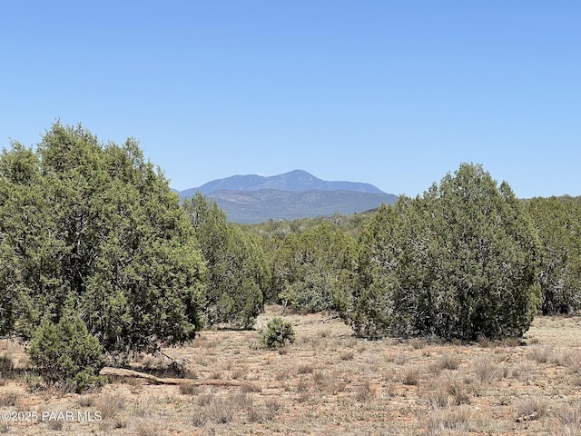 39303 N Bullock Rd, Ash Fork, AZ 86320 - photo 1