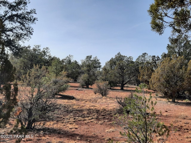 55193 N Campana Cir, Seligman AZ, 86337 land for sale