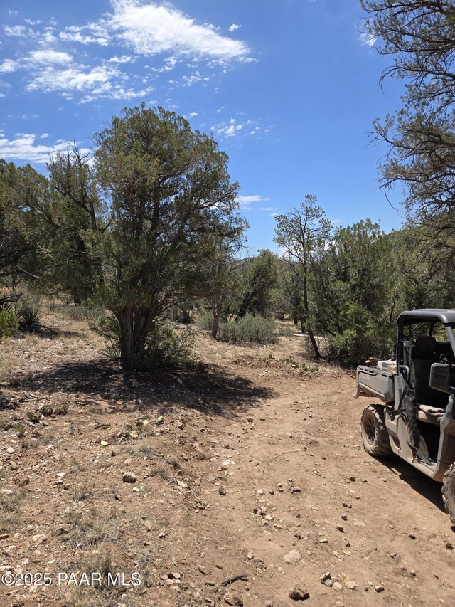 207A Arizona Rd, Ash Fork, AZ 86320 - photo 13