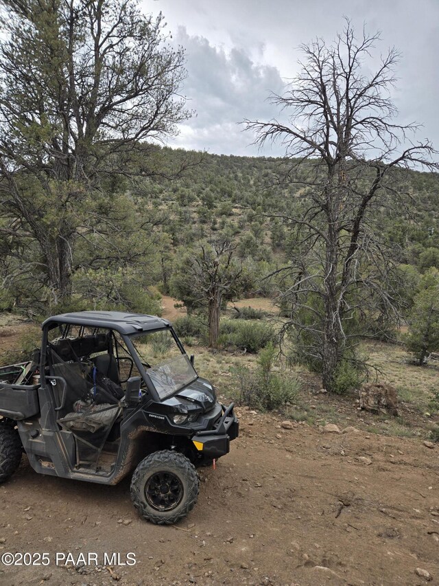 207A Arizona Rd, Ash Fork, AZ 86320 - photo 11