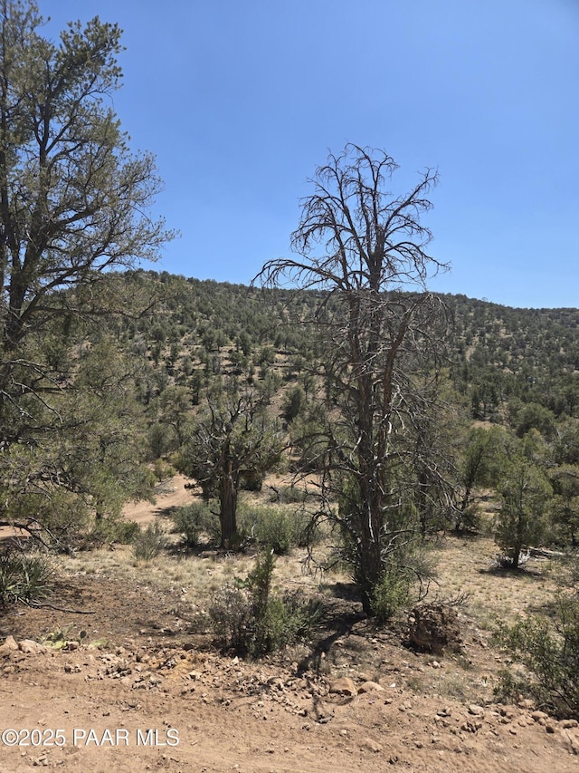207A Arizona Rd, Ash Fork, AZ 86320 - photo 9