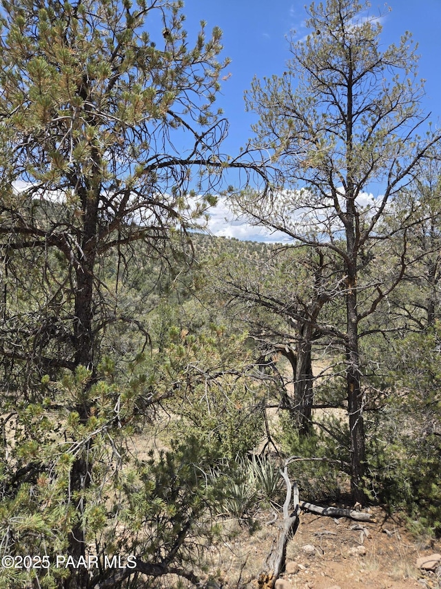 207A Arizona Rd, Ash Fork, AZ 86320 - photo 10