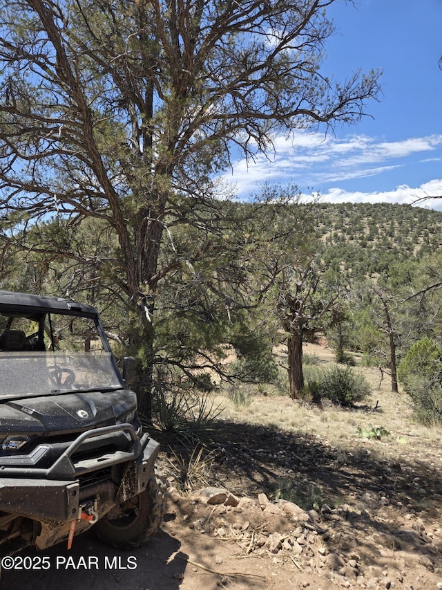 207A Arizona Rd, Ash Fork, AZ 86320 - photo 12